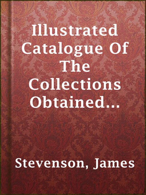 Title details for Illustrated Catalogue Of The Collections Obtained From The Indians Of New Mexico And Arizona In 1879 by James Stevenson - Available